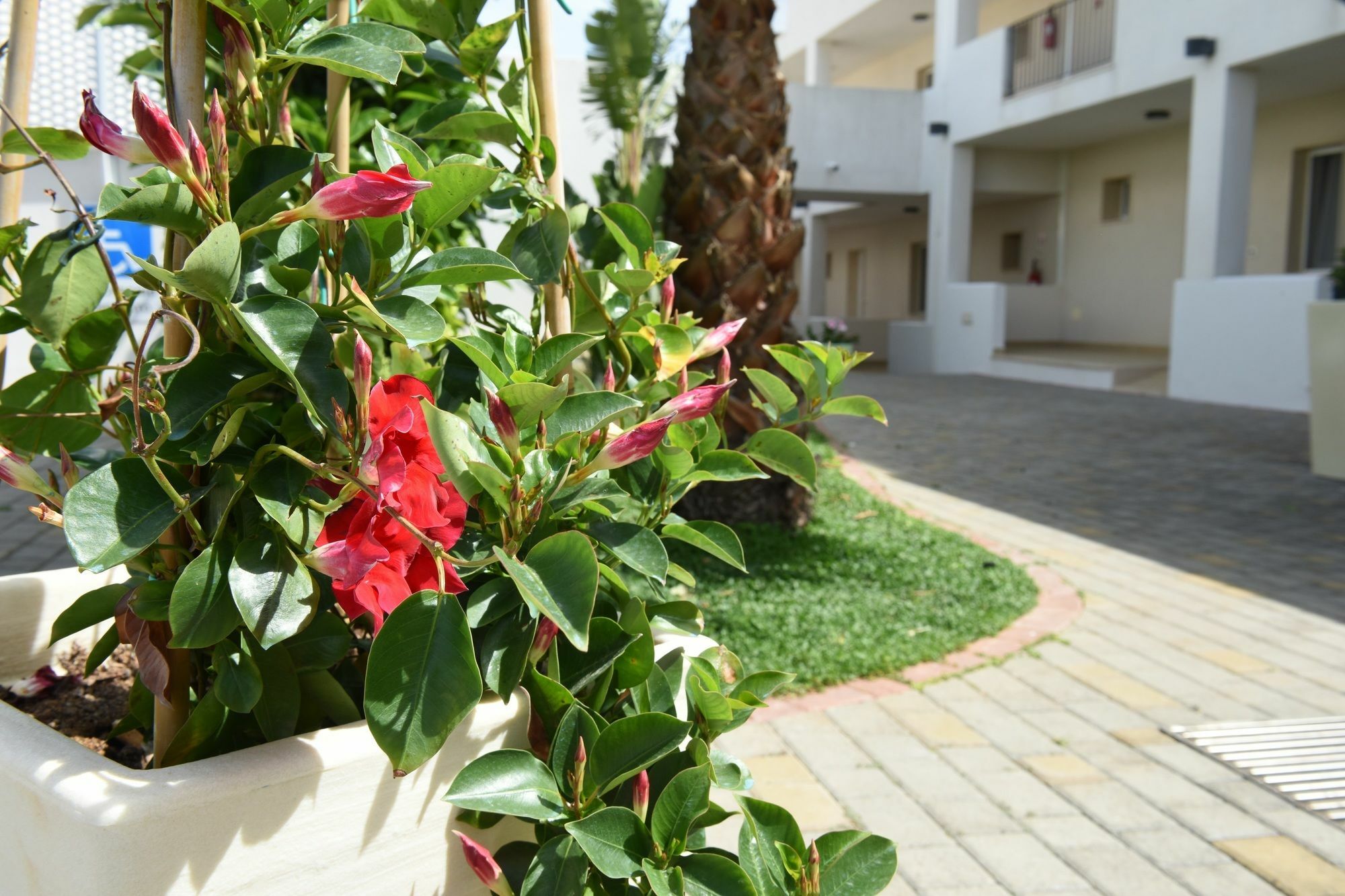 Donnosanto Residence Torre Santa Sabina Exteriör bild